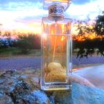 عطر ادکلن اِلیخه مری کی - Elige Mary Kay - بررسی، قیمت و خرید