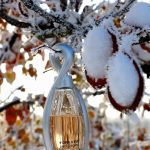 عطر ادکلن فوراور تاچ د آرژانت لورا بیاجوتی - Forever Touche d'Argent Laura Biagiotti - بررسی، قیمت و خرید