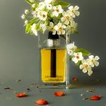 عطر ادکلن دیور هوم اورژینال دیور - Dior Homme Original Dior - بررسی، قیمت و خرید