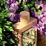 عطر ادکلن گوچی بلوم آکوا دی فیوری گوچی - Gucci Bloom Acqua di Fiori Gucci - بررسی، قیمت و خرید