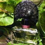 عطر ادکلن نایت آو فَنسی آنا سوی - Night of Fancy Anna Sui - بررسی، قیمت و خرید