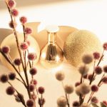 عطر ادکلن سان فورس د هارمونیست - Sun Force The Harmonist - بررسی، قیمت و خرید