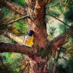 عطر ادکلن باسک برواناریز - Bosc Bravanariz - بررسی، قیمت و خرید