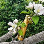 عطر ادکلن لدر پچولی مونتال - Leather Patchouli Montale - بررسی، قیمت و خرید