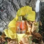 عطر ادکلن بَلاد اُ تُویلِری آگاتا پاریس - Balade aux Tuileries Agatha Paris - بررسی، قیمت و خرید