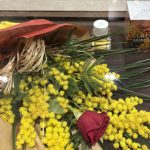 عطر ادکلن لاته میموسا نیو نوتس - Latte Mimosa New Notes - بررسی، قیمت و خرید