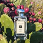 عطر ادکلن پاپی اند بارلی جو مالون لاندن - Poppy & Barley Jo Malone London - بررسی، قیمت و خرید
