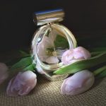عطر ادکلن بیوتی کلوین کلاین - Beauty Calvin Klein - بررسی، قیمت و خرید