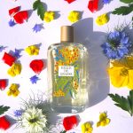 عطر ادکلن بل دو گرسه فراگونارد - Belle de Grasse Fragonard - بررسی، قیمت و خرید