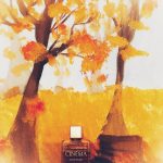 عطر ادکلن سینما ادو تویلت ایو سن لورن - Cinéma Eau de Toilette Yves Saint Laurent - بررسی، قیمت و خرید