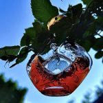 عطر ادکلن لبه‌زه‌ر لالیک - Le Baiser Lalique - بررسی، قیمت و خرید