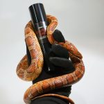 عطر ادکلن سینتتیک جانگل فردریک مال - Synthetic Jungle Frederic Malle - بررسی، قیمت و خرید