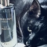 عطر ادکلن بوهیمیَن عود زارا - Bohemian Oud Zara - بررسی، قیمت و خرید
