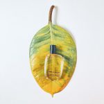 عطر ادکلن کوم د گارسون کوم د گارسون - Comme des Garcons Comme des Garcons - بررسی، قیمت و خرید
