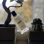 عطر ادکلن جانک لاش - Junk Lush - بررسی، قیمت و خرید