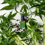 عطر ادکلن چهار و بیست بعد از ظهر لاش - 4.20 PM Lush - بررسی، قیمت و خرید