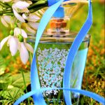 عطر ادکلن بلوبل وایت تی لاو تو لاو - Bluebell + White Tea Love2Love - بررسی، قیمت و خرید