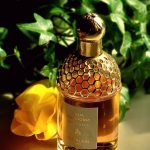 عطر ادکلن آکوا آلگوریا اورنج سولیا گرلن - Aqua Allegoria Orange Soleia Guerlain - بررسی، قیمت و خرید
