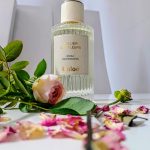 عطر ادکلن رز دمشق کلوئه - Rosa Damascena Chloé - بررسی، قیمت و خرید