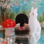 عطر ادکلن نایت آو فَنسی آنا سوی - Night of Fancy Anna Sui - بررسی، قیمت و خرید
