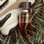 عطر ادکلن لا کورتِ سالواتوره فراگامو - La Corte Salvatore Ferragamo - بررسی، قیمت و خرید