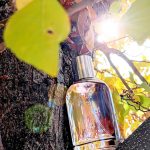 عطر ادکلن فورگت می نات ویکتورینوکس سوئیس آرمی - Forget Me Not Victorinox Swiss Army - بررسی، قیمت و خرید