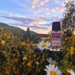 عطر ادکلن آمورگ اسانس دو رومانی - Amurg Essence de Roumanie - بررسی، قیمت و خرید