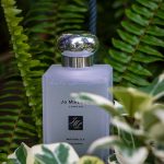 عطر ادکلن واتر لیلی کلن جو مالون لاندن - Waterlily Cologne Jo Malone London - بررسی، قیمت و خرید