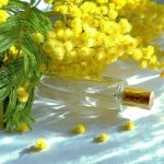 عطر ادکلن الیکسیر د میموسا آی دی پرفیومز - Elixir de Mimosa ID Parfums - بررسی، قیمت و خرید