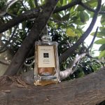 عطر ادکلن اُرنج بلاسِم کُلون جو مالون لاندن - Orange Blossom Cologne (2019) Jo Malone London - بررسی، قیمت و خرید
