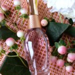 عطر ادکلن تریسل اِیوِن - Treselle Avon - بررسی، قیمت و خرید