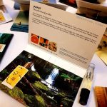 عطر ادکلن جنت ممو پاریس - Jannat Memo Paris - بررسی، قیمت و خرید
