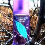 عطر ادکلن گرین تی لوندر الیزابت آردن - Green Tea Lavender Elizabeth Arden - بررسی، قیمت و خرید