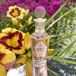 عطر ادکلن لیپُوی چِوِت ای فلُکسی بروکارد - Липовый Цвет и Флоксы - Linden Blossom and Phlox Brocard - بررسی، قیمت و خرید