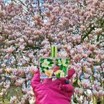 عطر ادکلن مگنولیا فراگنارد - Magnolia Fragonard - بررسی، قیمت و خرید