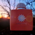 عطر ادکلن لاو دیلایت آموآژ - Love Delight Amouage - بررسی، قیمت و خرید