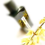 عطر ادکلن کارداموم عود آتلیه ربول - Cardamom Oud Atelier Rebul - بررسی، قیمت و خرید