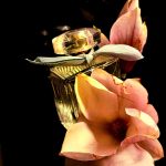 عطر ادکلن کلوئه او دو پارفوم ناتورل کلوئه - Chloé Eau de Parfum Naturelle Chloé - بررسی، قیمت و خرید