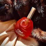 عطر ادکلن کلوئه کارل لاگرفلد - Chloé (Parfums Lagerfeld) Karl Lagerfeld - بررسی، قیمت و خرید