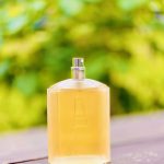 عطر ادکلن ازارو پور هوم لو آزارو - Azzaro Pour Homme L'Eau Azzaro - بررسی، قیمت و خرید