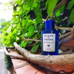 عطر ادکلن آکوا دی پارما بلو مدیترانه - میرتو دی پاناریا آکوا دی پارما - Acqua di parma Blue Mediterraneo - Mirto di Panarea Acqua di Parma - بررسی، قیمت و خرید