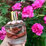 عطر ادکلن گرل آف نو رز پتل ایلی صعب - Girl of Now Rose Petal Elie Saab - بررسی، قیمت و خرید