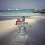 عطر ادکلن ورجین آیلند واتر کرید - Virgin Island Water Creed - بررسی، قیمت و خرید