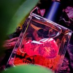 عطر ادکلن وتیوروس آوان-گاردن لب - Vetiverus Avant-Garden Lab - بررسی، قیمت و خرید