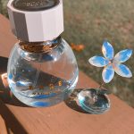 عطر ادکلن بار مگنولیا ویکتوریا سیکرت - Bare Magnolia Victoria's Secret - بررسی، قیمت و خرید
