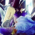 عطر ادکلن سیلور آیریس اتلیه کلین - Silver Iris Atelier Cologne - بررسی، قیمت و خرید