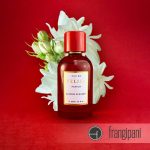 عطر ادکلن یاسمین بلوسوم فلیسا - Jasmine Blossom FELISA - بررسی، قیمت و خرید