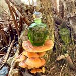 عطر ادکلن تندر پویزن دیور - Tendre Poison Dior - بررسی، قیمت و خرید