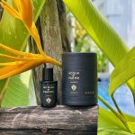 عطر ادکلن وانیگلیا او دو پرفیوم آکوا دی پارما - Vaniglia Eau de Parfum Acqua di Parma - بررسی، قیمت و خرید