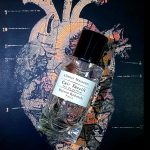 عطر ادکلن کور تسلی مزون ربچی - Cuir Tassili Maison Rebatchi - بررسی، قیمت و خرید